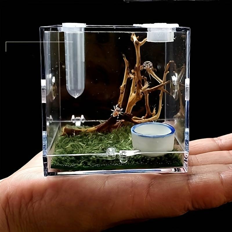 Spider Terrarium Acrylic Reptile Breeding Box Jumping Spider - Temu